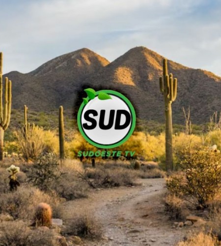 SUDOESTE TV 