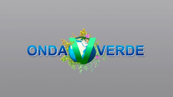 Onda Verde | T: 2023 | 15.07