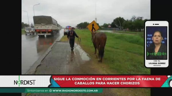 Liliana Gomez || 26.04.24