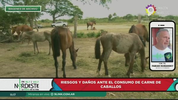 Fabián Umansky  || 29.04.24