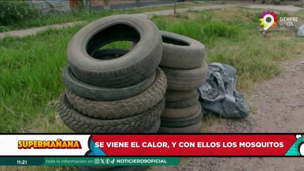 Yanina Maza || 11.10.2024