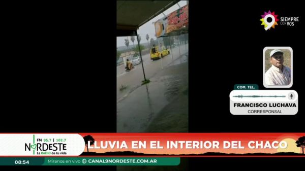 Mov Francisco Luchava || 05.11.2024