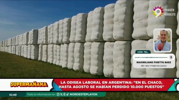 Maximiliano Pisetta Báez || 07.11.2024