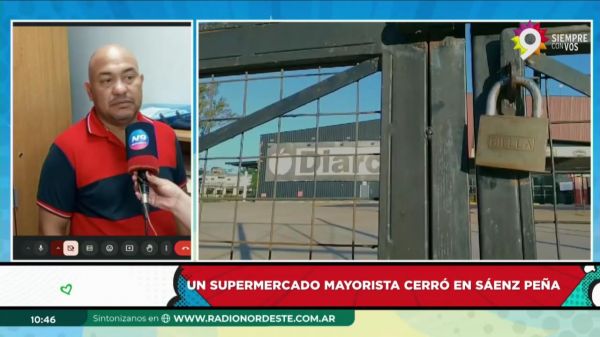 Daniela Stoianoff || 13.11.2024