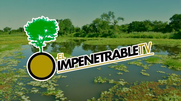 El Impenetrable TV | 2026 | 011